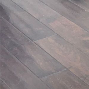 Meet your Posher, Rose